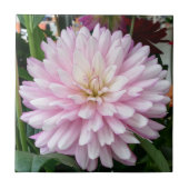 Mooie Paarse Dahlia Flower Tegeltje (Voorkant)