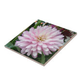 Mooie Paarse Dahlia Flower Tegeltje (Zijkant)