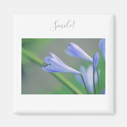 Mooie paarse drijfveren glimlach drijfnetten magneet (Voorkant)