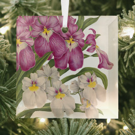 Mooie Paarse en Witte Orchideeën Glas Ornament