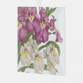 Mooie Paarse en Witte  Orchideeën Glas Ornament (Voorkant links)