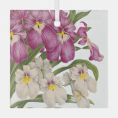 Mooie Paarse en Witte  Orchideeën Glas Ornament (Voorkant)