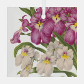 Mooie Paarse en Witte  Orchideeën Glas Ornament (Achterkant)