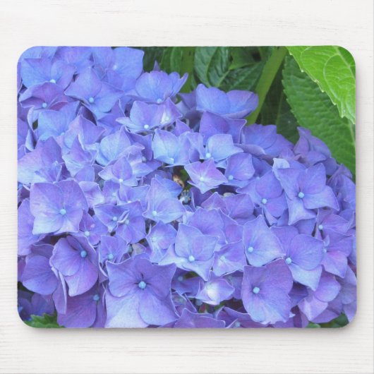 Mooie Paarse Hortensia's Muismat (Voorkant)