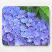 Mooie Paarse hydrangeas Muismat (Voorkant)