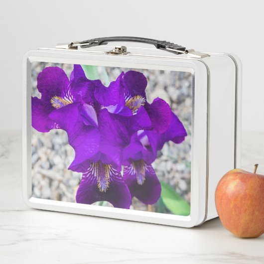 Mooie paarse iris (In situ)