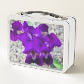 Mooie paarse iris (Achterkant)