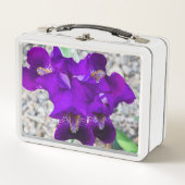 Mooie paarse iris (Voorkant)