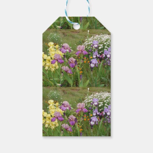 Mooie paarse iris bloem bloem foto cadeaulabel (Voorkant)