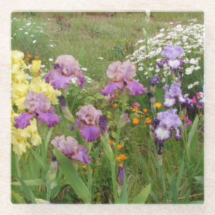 Mooie paarse iris bloem bloem foto glazen onderzetter