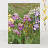 Mooie paarse iris bloem bloem foto kaart (Gele Bloem)