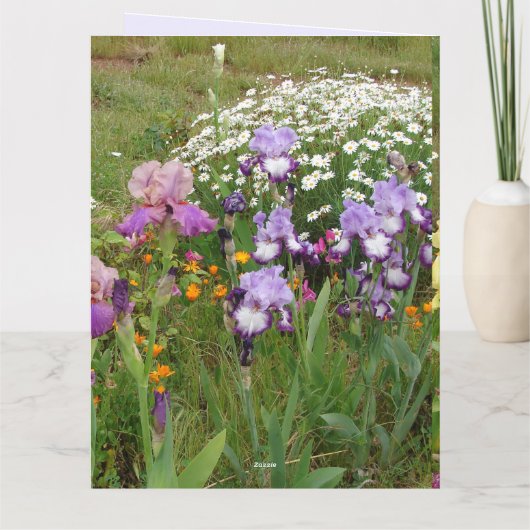 Mooie paarse iris bloem bloem foto kaart (Achterkant)