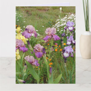 Mooie paarse iris bloem bloem foto kaart