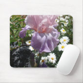 Mooie paarse iris bloem bloem foto muismat (Met muis)