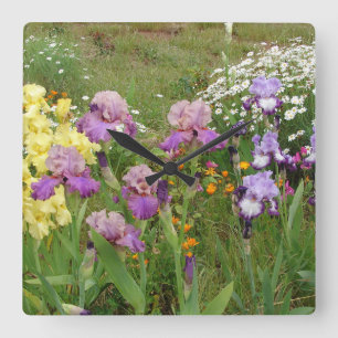 Mooie paarse iris bloem bloem foto vierkante klok