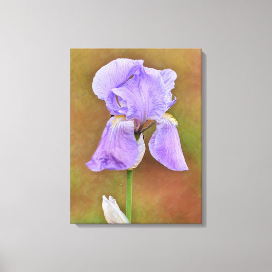 Mooie Paarse Iris Bloem Kunst Canvas Afdruk (Voorkant)