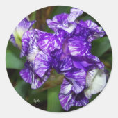 Mooie Paarse Iris Bloem Ronde Sticker (Voorkant)
