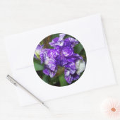 Mooie Paarse Iris Bloem Ronde Sticker (Envelop)