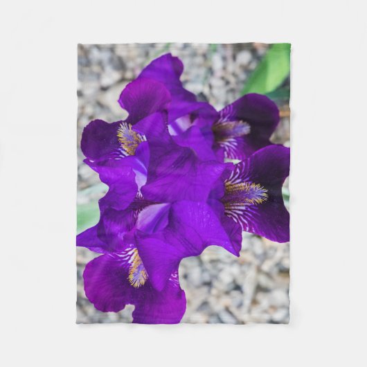 Mooie paarse iris fleece deken (Voorkant)