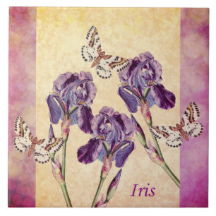 Mooie Paarse Iris Flowers en Butterfly Tegeltje