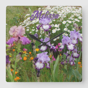 Mooie paarse iris irissen bloem bloemen Tuin Vierkante Klok