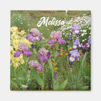 Mooie paarse iris irissen bloem bloemrijk tuin