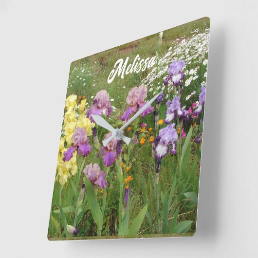 Mooie Paarse Iris Irissen bloementuin Vierkante Klok (Hoek)