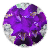 Mooie paarse iris keramische knop (Voorkant)