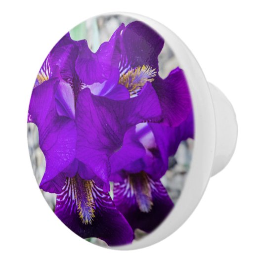 Mooie paarse iris keramische knop (Rechts)