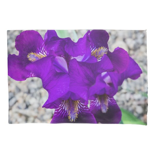 Mooie paarse iris kussensloop (Voorkant)