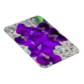 Mooie paarse iris magneet (Rechterzijde)