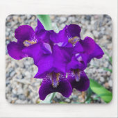 Mooie paarse iris muismat (Voorkant)