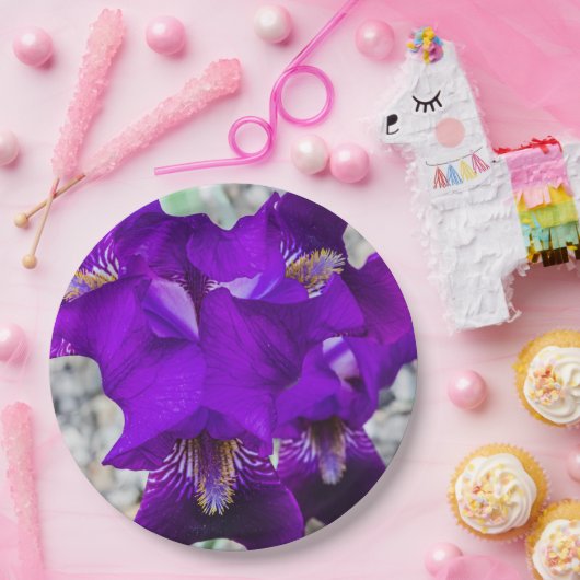 Mooie paarse iris papieren bordje (Feest)
