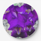 Mooie paarse iris papieren bordje (Voorkant)