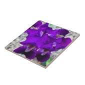 Mooie paarse iris tegeltje (Zijkant)