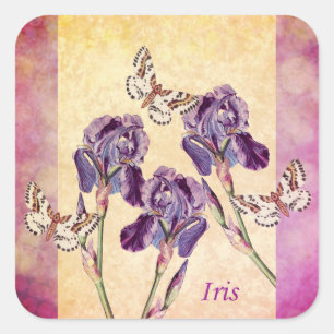 Mooie Paarse irisbloemen en vlinder Vierkante Sticker