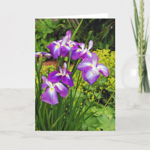 Mooie paarse irisbloemen print wenskaart kaart