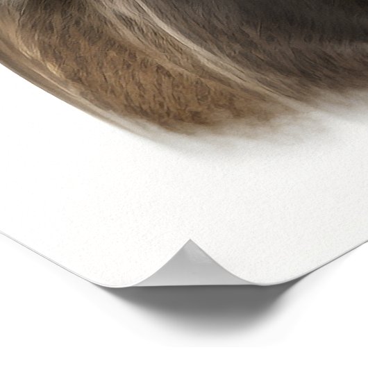 Mooie paarse kop portret hand getekende kleur poster (Hoek)