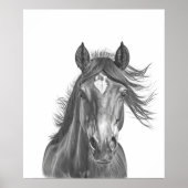 Mooie paarse kop portret zwart wit poster (Voorkant)