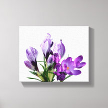 Mooie paarse krokus bloem moderne bloem digitale