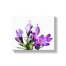 Mooie paarse krokus bloem moderne bloem digitale 