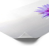 Mooie Paarse Lotus,Lake,Zen Poster (Hoek)