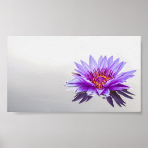 Mooie paarse lotus,meer,Zen Poster