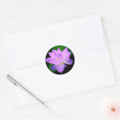Mooie paarse lotusbloem in water ronde sticker (Envelop)