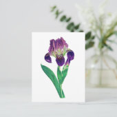 Mooie Paarse Nederlandse Iris Briefkaart (Staand voorkant)