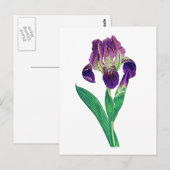 Mooie Paarse Nederlandse Iris Briefkaart (Voorkant / Achterkant)