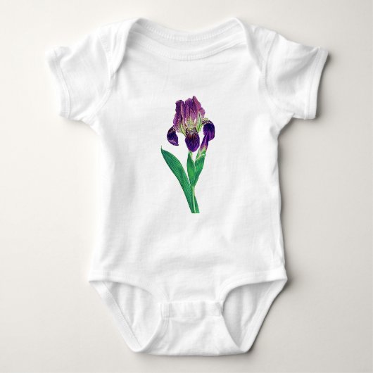 Mooie Paarse Nederlandse Iris Romper (Voorkant)