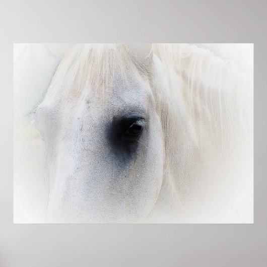 Mooie paarse ogen poster (Voorkant)