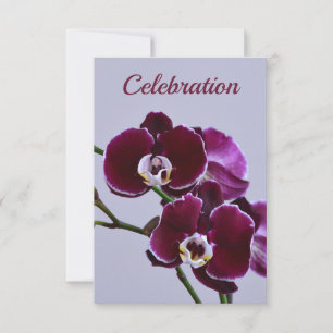 Mooie Paarse Orchidee Feest Uitnodiging