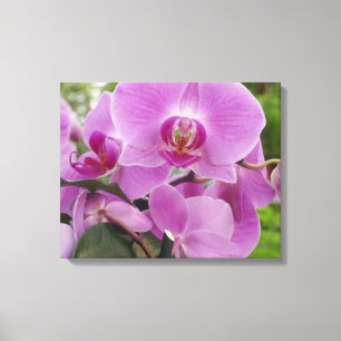 Mooie paarse orchidee in volle bloei. canvas afdruk